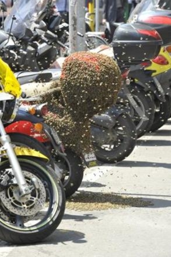 Quali esercizi fisici fare a emorroidi