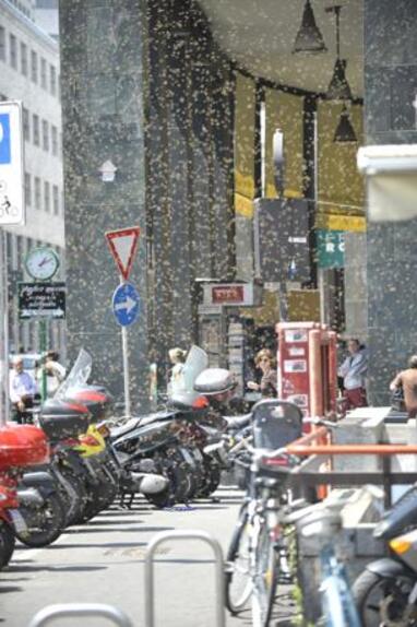 Se è possibile liberarsi da coni di emorroidi
