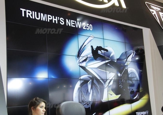 Triumph congela il progetto 250 Triumph congela il progetto 250